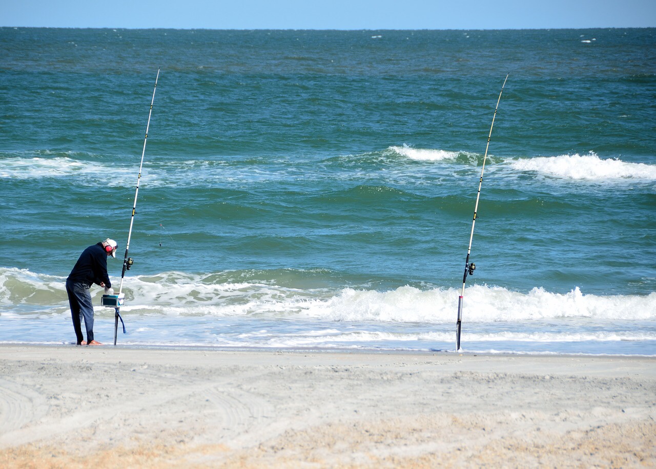Going Saltwater Surf Fishing? Here is What You Need